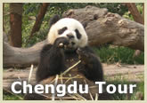 Chengdu Tour